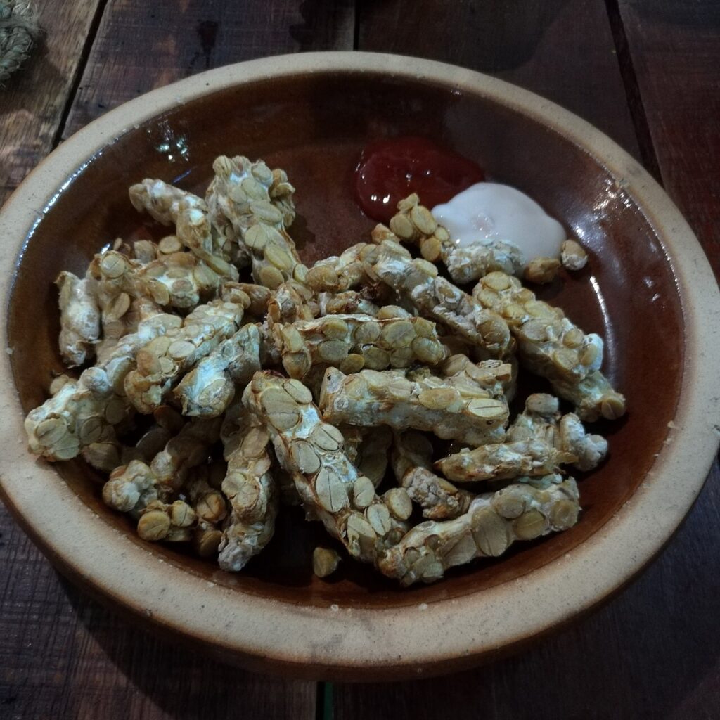 Homemade Tempeh