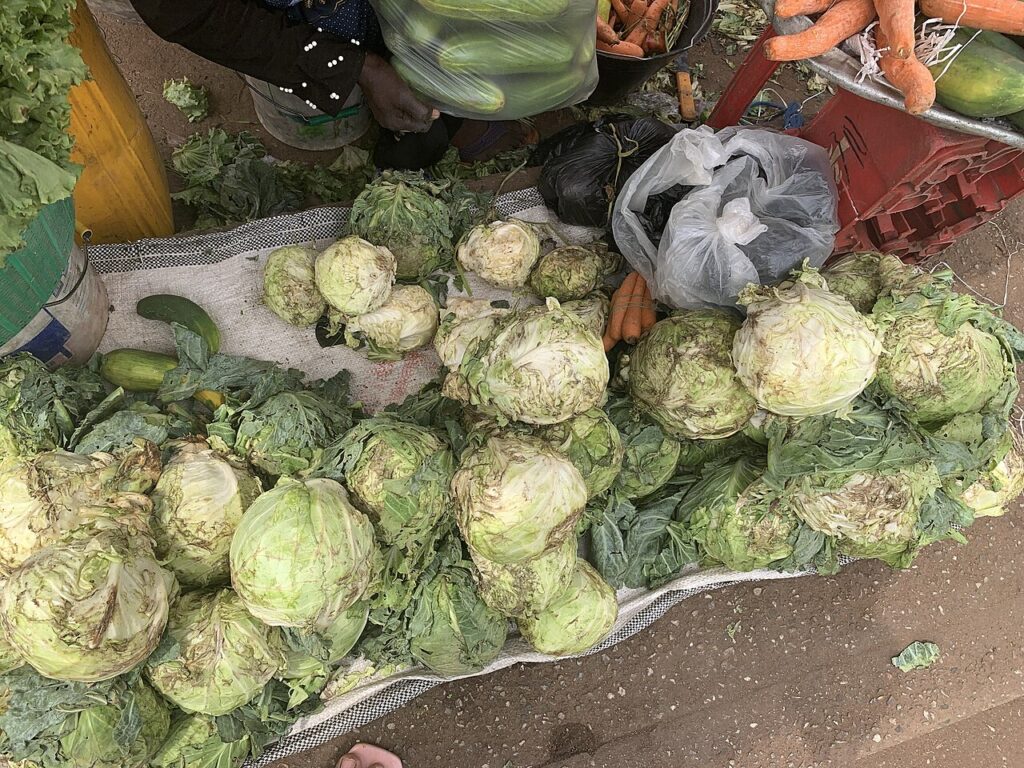 Food Coloring from Cabbage