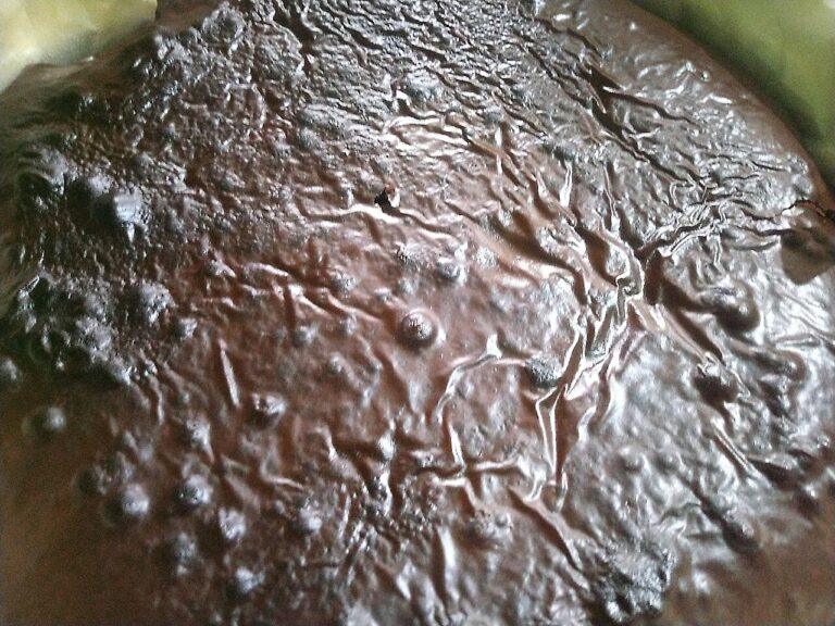 Fudge Brownies
