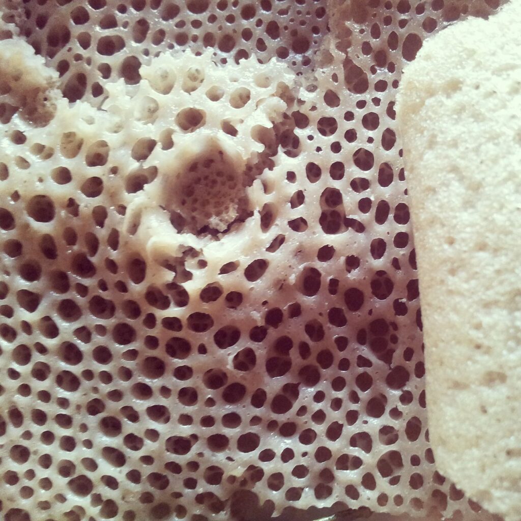 Lahoh (Spongy Flatbread) I